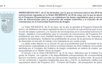 Subvenciones para la promoción del empleo autónomo y la creación de microempresas en Aragón