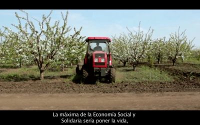 El Laboratorio de Economía Social te cuenta su trabajo con este vídeo